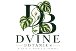 DVINE BOTANICS - Home